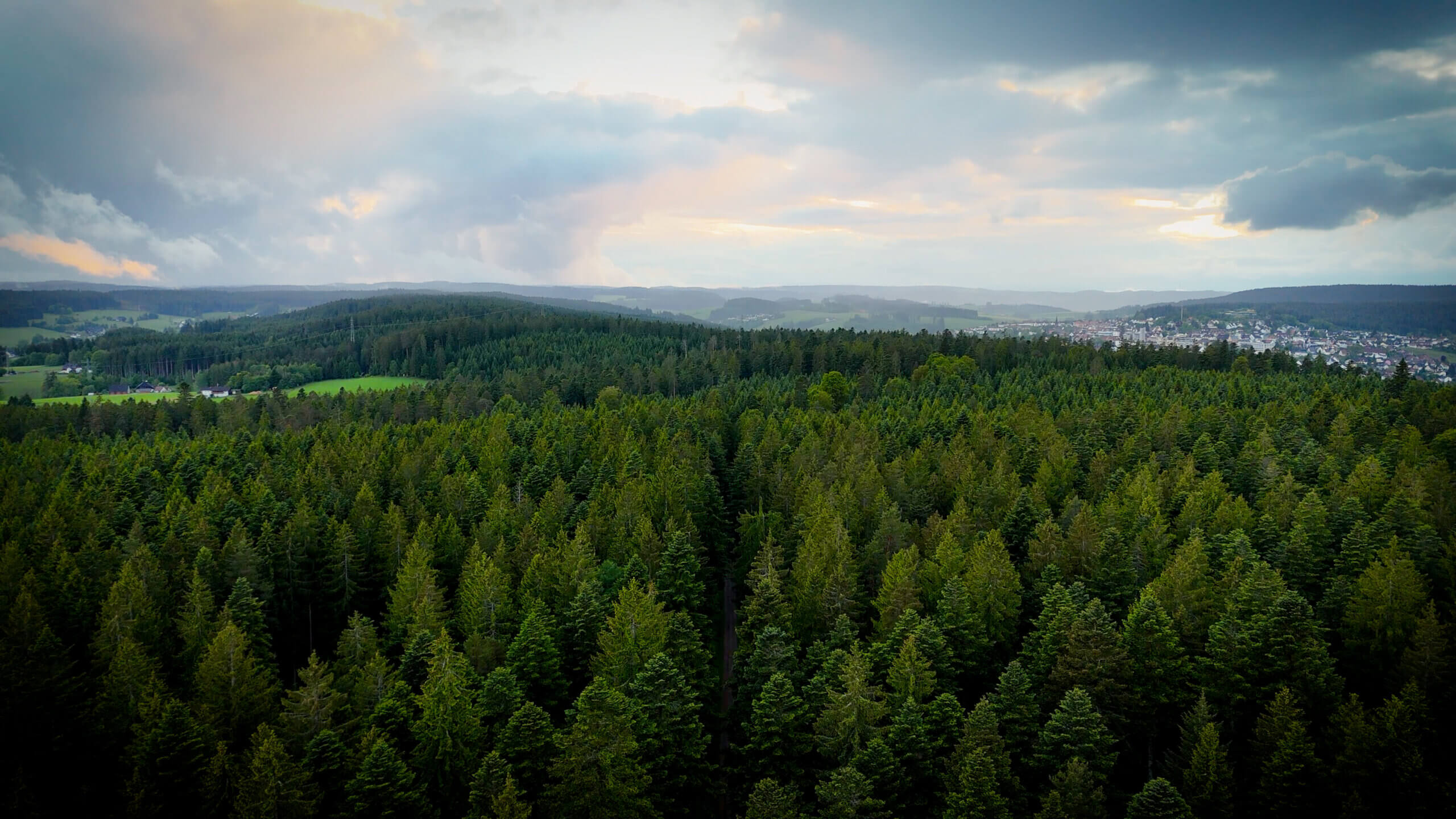 Luftaufnahme Schwarzwald – Ben@Media