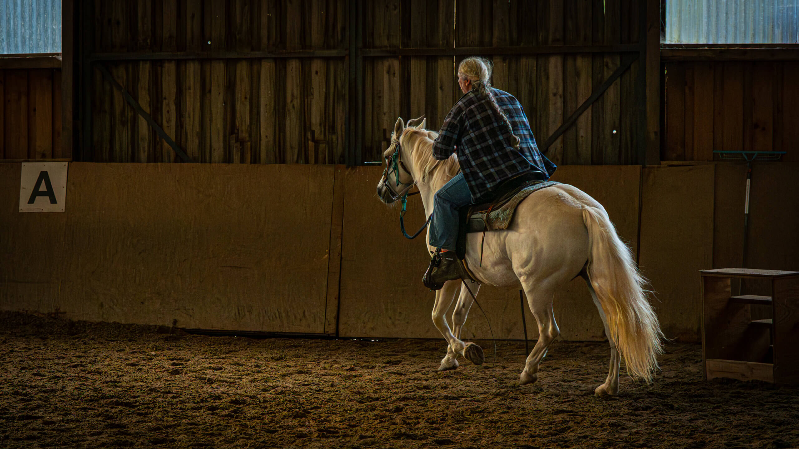 Horse photography – Ben@Media